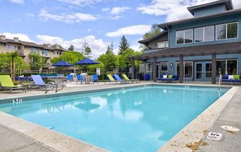 Sparkling pool and spa